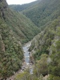 Leven Canyon, premier pas en Tasmanie