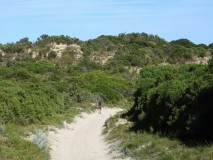Beachport conservation park