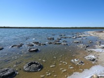 Stromatolites du lac Thetis